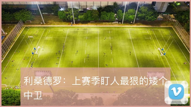 利桑德罗：上赛季盯人最狠的矮个中卫